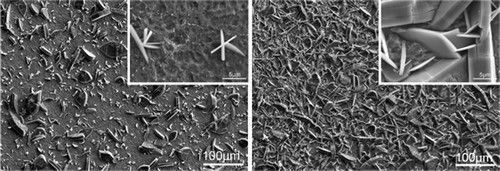 Latest company news about PVD Coatings in Medical Devices Industry - Bio-compatibility