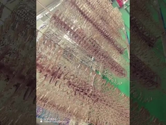 Titanium Alloy Spectacles frames PVD coating machine